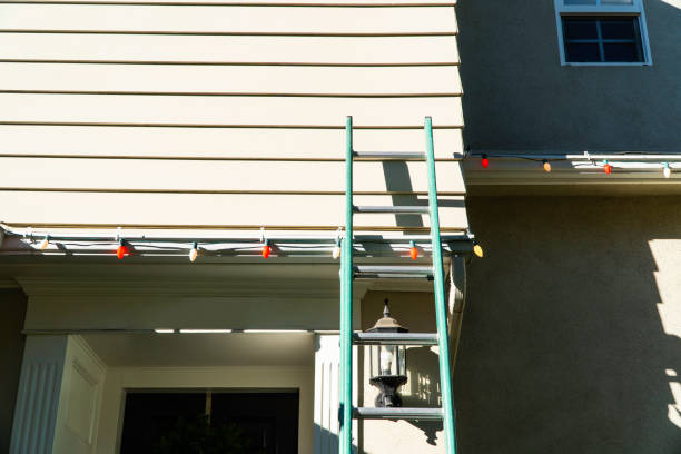 Best Furniture Removal  in Spring Valley, NV