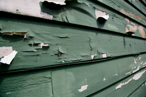Best Residential Junk Removal  in Spring Valley, NV
