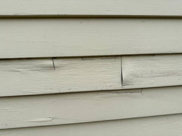 Best Property Management Cleanouts  in Spring Valley, NV